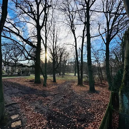 Waldblick Trio- 11 Personen- 3 Wohneinheiten- Waschmaschine- Parkplatz *